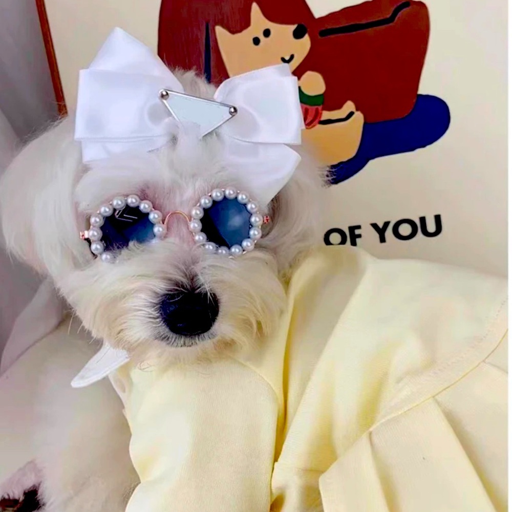 Puppy/ cat eyeglasses